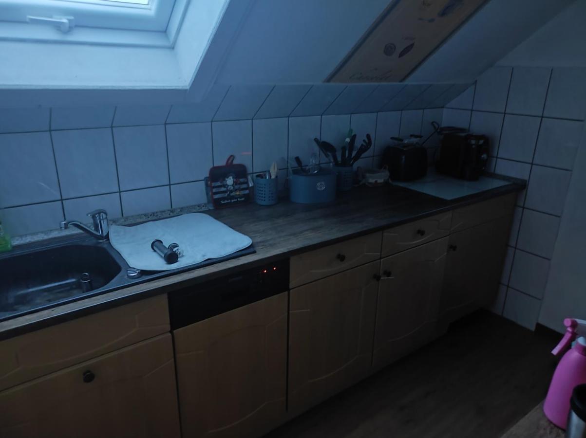 Kleine Gemuetliche Wohnung Zwickau Exteriér fotografie
